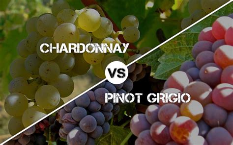 Chardonnay vs Pinot Grigio - Just Wines Blog