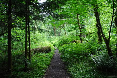 Black Watch Sasquatch: Clackamas River Trail