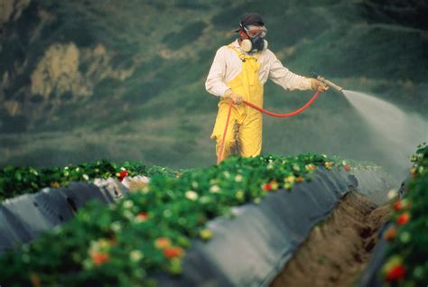 Potential Hazards of Pesticides, Fertilizers in Farm Food | Financial ...