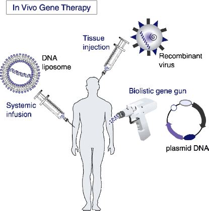 Human Gene Therapy - Gene Therapy