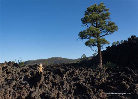 Sunset Crater Volcano National Monument! - The Bill Beaver Project