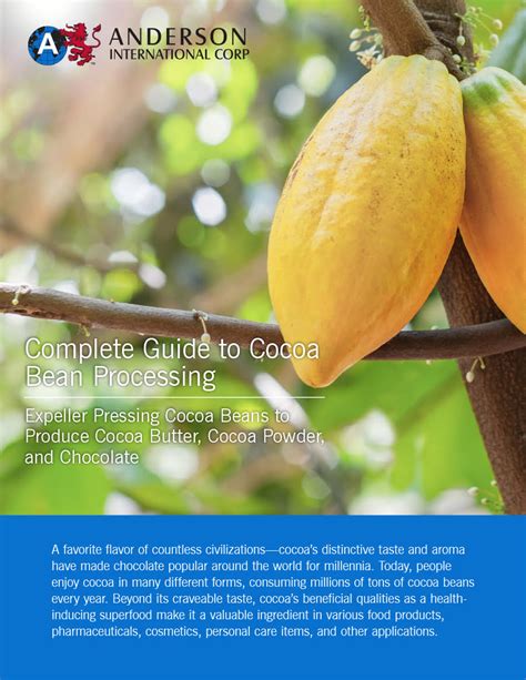 A Complete Guide to Cocoa Bean Processing - Anderson International Corp