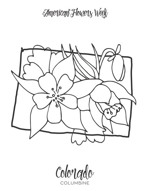 50 State Flowers — Free Coloring Pages | american flowers week