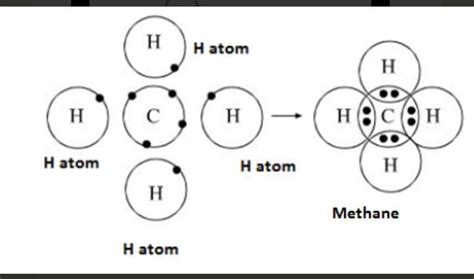 Draw the electron dot structure of Methane molecule (depict all the valence electrons - Brainly.in