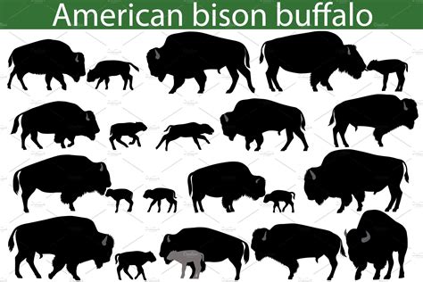 American bison buffalo silhouettes | Animal Illustrations ~ Creative Market