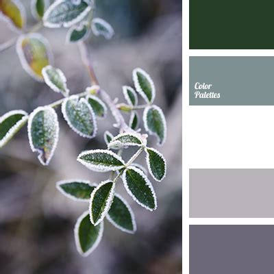 colour of green spruce | Color Palette Ideas
