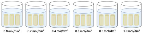 Osmosis Experiment