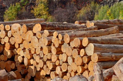 News Release: Forest Service Grants Boost Innovative Wood Construction in Utah - Sunpro