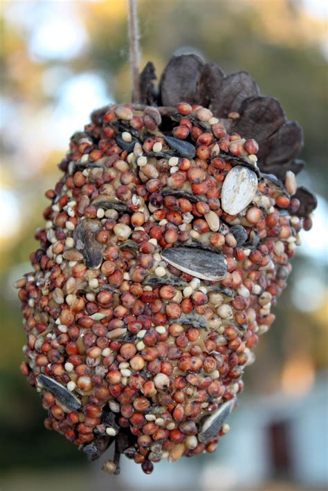 Julie Bakes A Lot!: Pine Cone Bird Feeder!