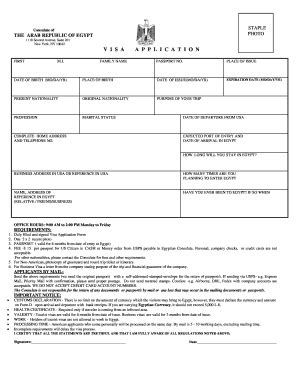 Egypt Visa Application Form - Fill and Sign Printable Template Online