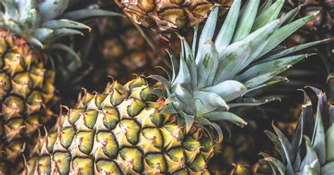 Can You Eat Pineapple Leaves? Potential Benefits and Dangers