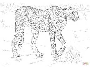 Cheetah Line Drawing at GetDrawings | Free download