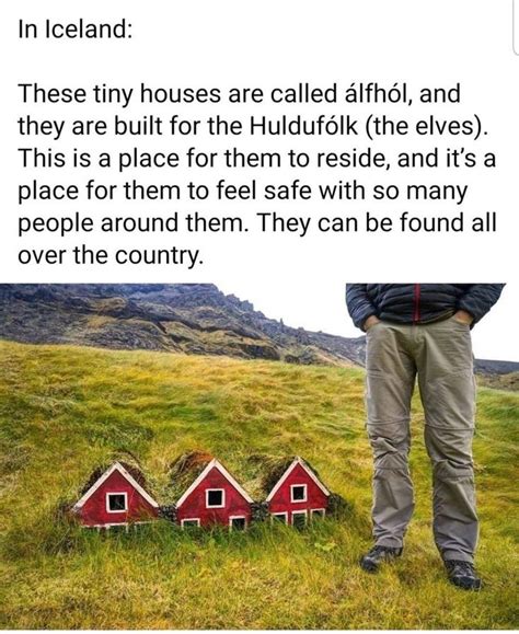 Tiny Houses For The Elves : r/MadeMeSmile