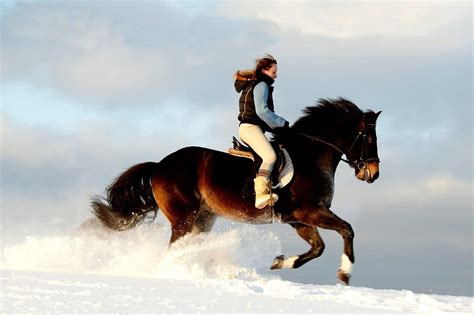 Horse Riding Wallpapers Free - Wallpaper Cave