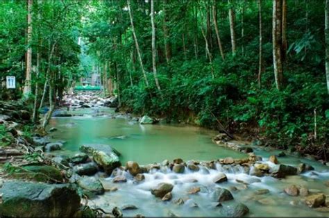 Ulu Serting Recreational Park, Negeri Sembilan, Malaysia | Gokayu, Your ...