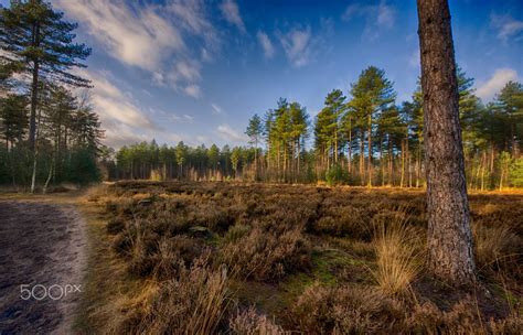 Den Treek #2, Leusden, The Netherlands - Den Treek, Leusden, The Netherlands | Places to travel ...