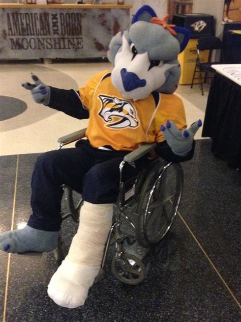 Predators' mascot on injured reserve list