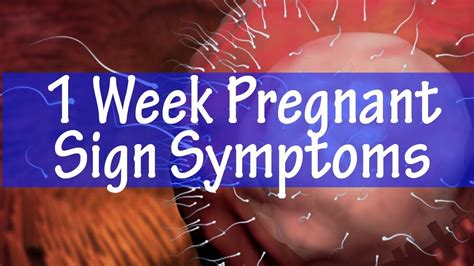 1 Week Pregnant Sign Symptoms The Important Things You Must Know - YouTube