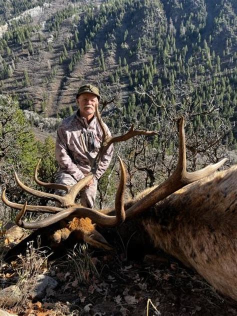 A Good Colorado Elk | Long Range Hunting Forum