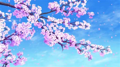 Anime Pink Tree Wallpapers - Wallpaper Cave
