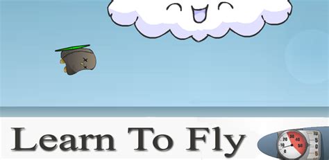 Learn 2 Fly - insfasr