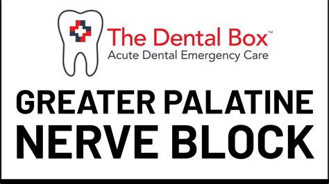 Dr. Malamed Instructional Video - Greater Palatine Nerve Block - YouTube