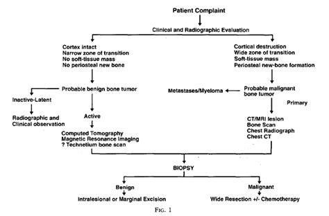 Soft Tissue Sarcoma - Pathology - Orthobullets