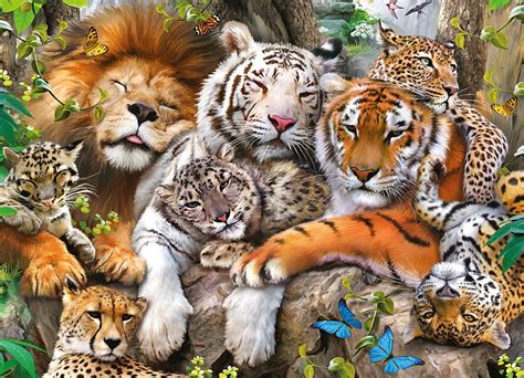 Big cats, leopard, cheetah, big cat, leu, tiger, sleeping, animal, lion ...