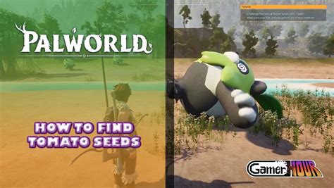 Palworld: How To Find Tomato Seeds - GamerHour