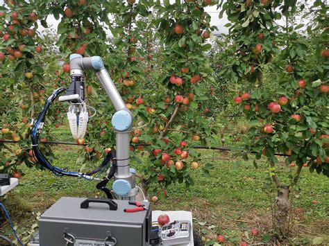 An autonomous fruit-picking robot can harvest apples at high speed