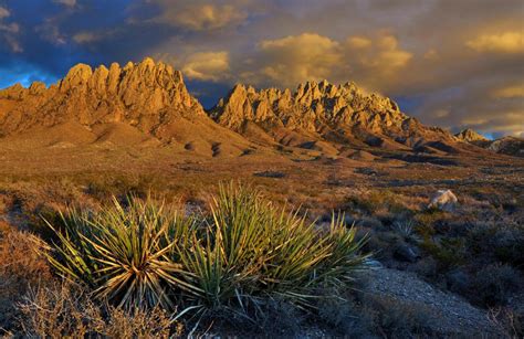 The Tao of Taos – Distant Dwellings