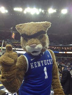 23 Best Kentucky Wildcats Mascot ideas | kentucky wildcats mascot ...