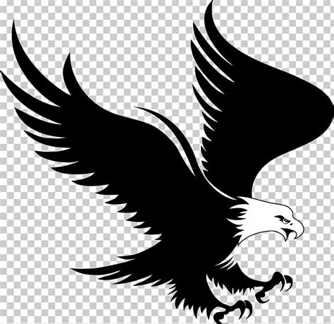 Bald Eagle Logo PNG, Clipart, Animals, Bald Eagle, Beak, Bird, Bird Of ...