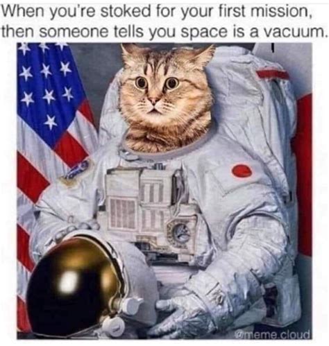 Space Cat : r/Catmemes