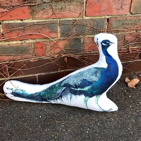 Peacock Peacocks Peacock Pillow Peacock Gifts Gift for | Etsy