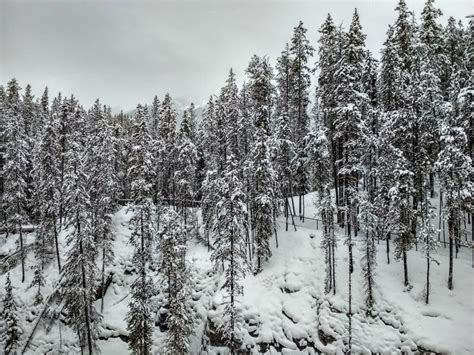 Sunwapta Falls in Winter stock photo. Image of mountains - 108906456