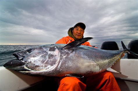 Tuna Fishing: all you need to know about this legendary fish | Tom's ...