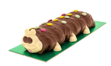 How to make your own caterpillar cake recipe - Worldlifestylenews.com