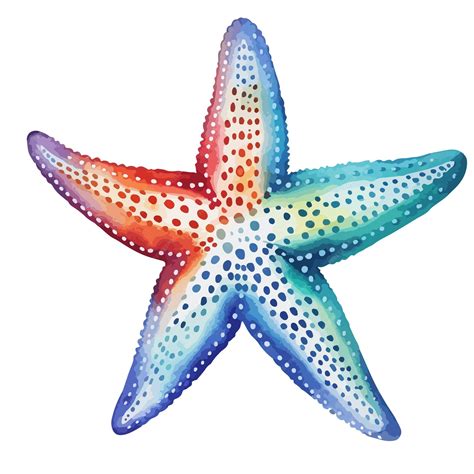 Premium Vector | Vector starfish drawing watercolor pretty color ...