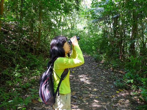 Birdwatching at the Gamboa Rainforest Resort, Panama | Bird watching, Panama, Rainforest