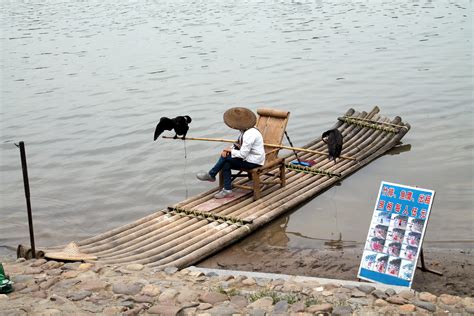 bamboo raft featuring chickens - elephant trunk hill park in guilin ...