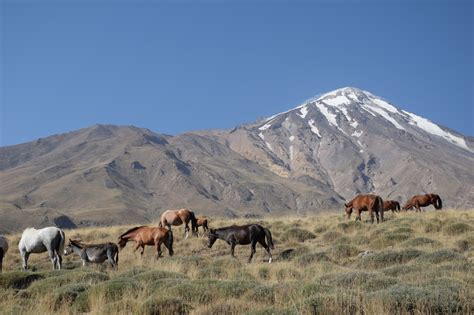 Mount Damavand, Iran’s highest peak - Damavand Eco Camp