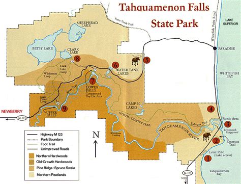 Tahquamenon Falls State Park Map - Maps For You