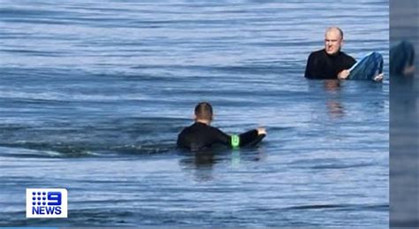 Photo taken just moments before shark attack on Australian surfer Toby Begg : r/SharkLab