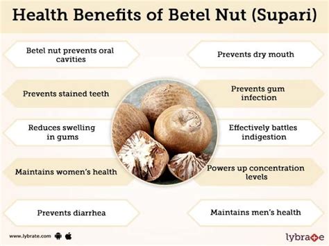 Betel Nut (Supari) Benefits And Its Side Effects | Lybrate