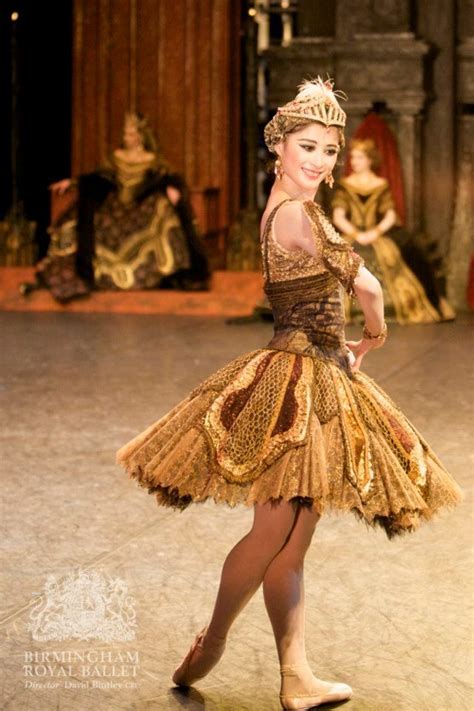 The Daily Ballet | Ballet costumes, Classical ballet tutu, Ballet beautiful