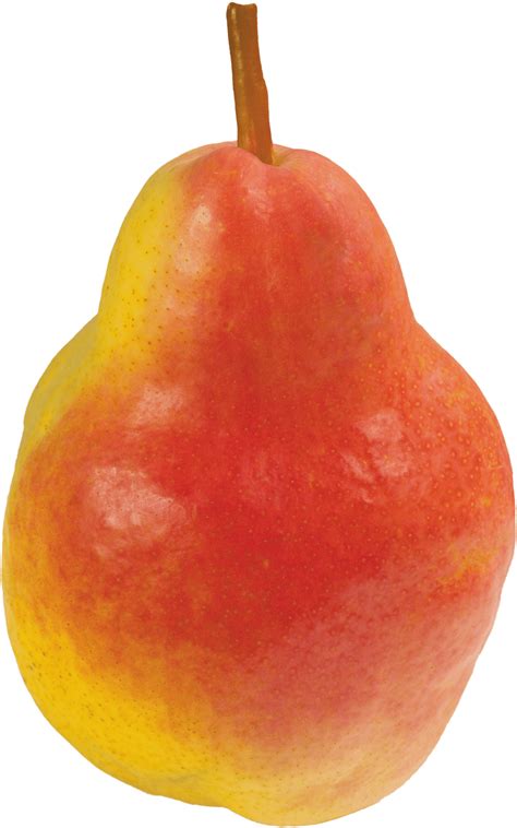 Pear Png Image Transparent HQ PNG Download | FreePNGimg