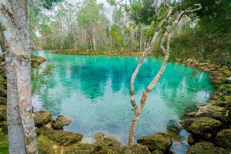 10 hidden gem attractions in florida that won t be too crowded – Artofit