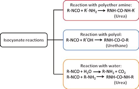 Isocyanate reactions in urethane coating chemistry. | Download Scientific Diagram