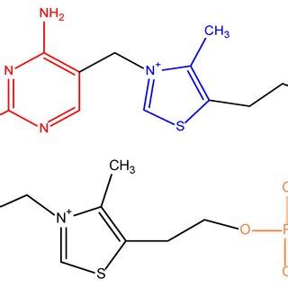 Structure of thiamine (vitamin B1 (upper)) and thiamine pyrophosphate ...